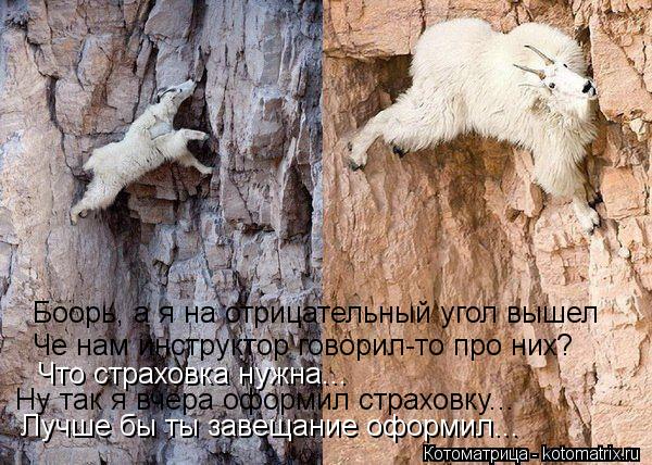 Котоматрица: Боорь, а я на отрицательный угол вышел Че нам инструктор говорил-то про них? Что страховка нужна... Ну так я вчера оформил страховку... Лучше б