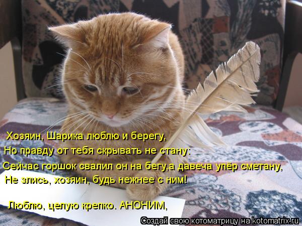 Котоматрица: Хозяин, Шарика люблю и берегу,  Но правду от тебя скрывать не стану: Сейчас горшок свалил он на бегу,а давеча упёр сметану, Не злись, хозяин, б