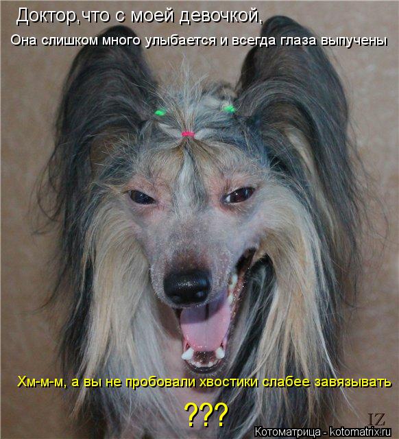Котоматрица: Доктор,что с моей девочкой, Она слишком много улыбается и всегда глаза выпучены Хм-м-м, а вы не пробовали хвостики слабее завязывать ???