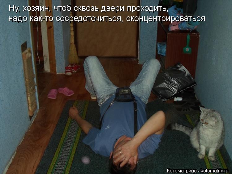 Ну, хозяин, чтоб сквозь двери проходить, надо как-то сосредоточиться, сконцентрироваться... Котоматрица: Ну, хозяин, чтоб сквозь двери проходить, надо как-то сосредоточиться, сконцентрироваться