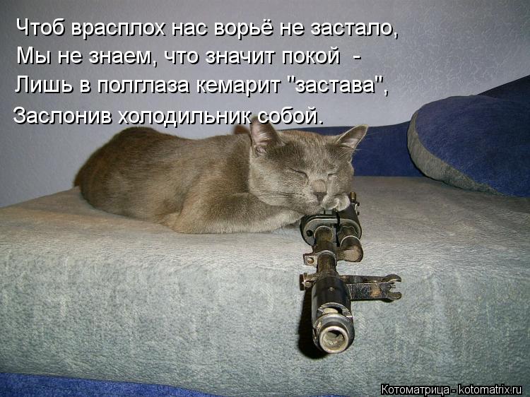 Чтоб врасплох нас ворьё не застало, Мы не знаем, что значит покой - Лишь в полглаза кемарит "застава... Котоматрица: Чтоб врасплох нас ворьё не застало, Мы не знаем, что значит покой - Лишь в полглаза кемарит "застава", Заслонив холодильник собой.