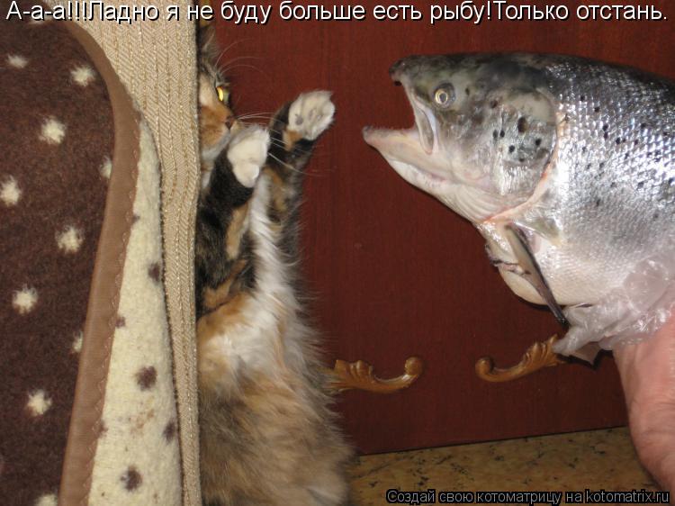 А-а-а!!!Ладно я не буду больше есть рыбу!Только отстань.... Котоматрица: А-а-а!!!Ладно я не буду больше есть рыбу!Только отстань.