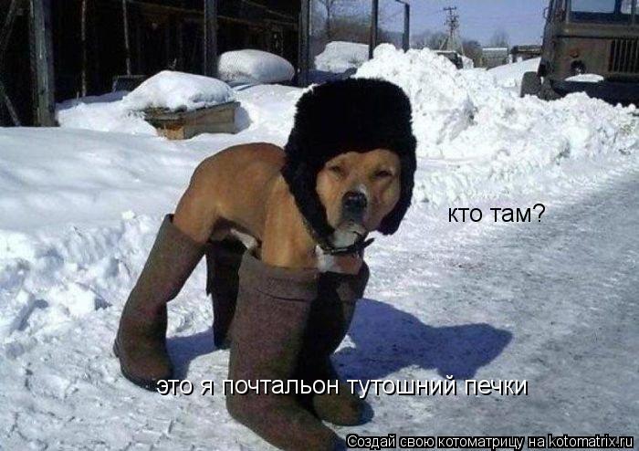 Котоматрица: кто там? это я почтальон тутошний печки это я почтальон тутошний печки