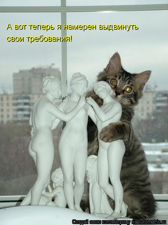 Котоматрица: А вот теперь я намерен выдвинуть свои требования!