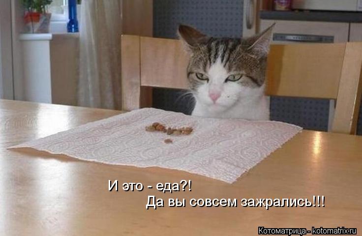 И это - еда?! Да вы совсем зажрались!!!... Котоматрица: И это - еда?! Да вы совсем зажрались!!!