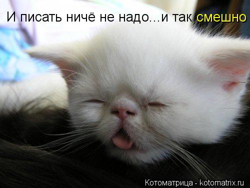 Котоматрица: И писать ничё не надо...и так смешно