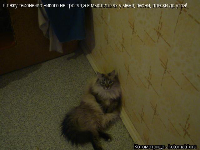 Котоматрица: я лежу техонечко никого не трогая,а в мыслишках у меня, песни, пляски до утра!