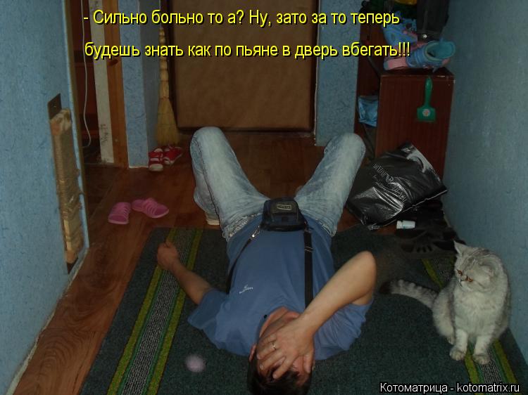 будешь знать как по пьяне в дверь вбегать!!! - Сильно больно то а? Ну, зато за то теперь... Котоматрица: будешь знать как по пьяне в дверь вбегать!!! - Сильно больно то а? Ну, зато за то теперь
