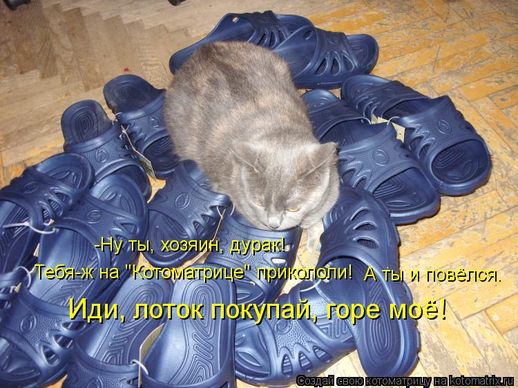 Котоматрица: Тебя-ж на "Котоматрице" прикололи! -Ну ты, хозяин, дурак! А ты и повёлся. Иди, лоток покупай, горе моё!