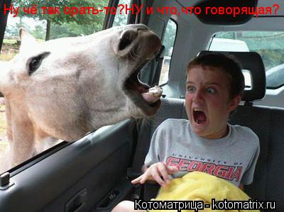 Котоматрица: Ну чё так орать-то?НУ и что,что говорящая?