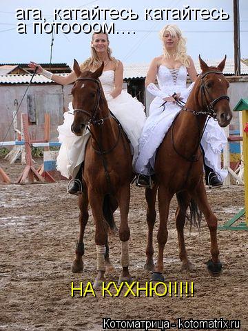 Котоматрица: ага, катайтесь катайтесь  а потоооом.... НА КУХНЮ!!!!!