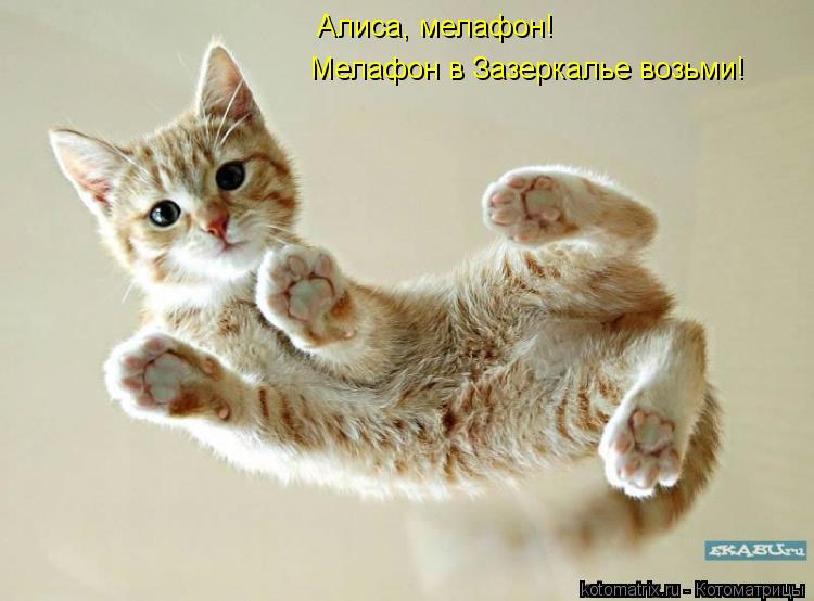 Котоматрица: Алиса, мелафон! Мелафон в Зазеркалье возьми!