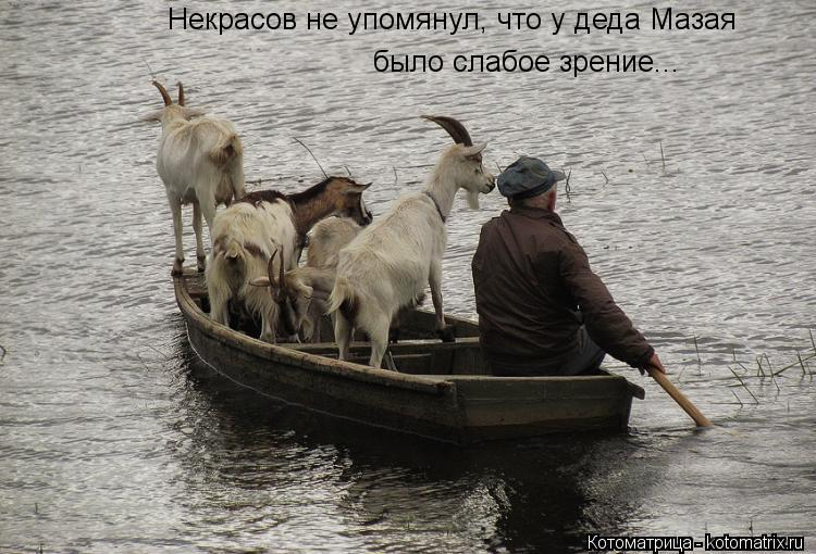 Котоматрица: Некрасов не упомянул, что у деда Мазая было слабое зрение...