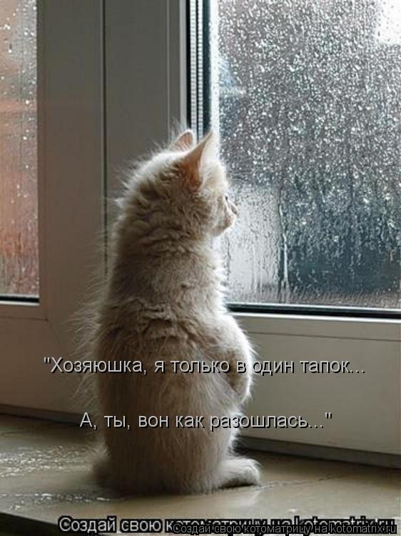 Котоматрица: "Хозяюшка, я только в один тапок... А, ты, вон как разошлась..."