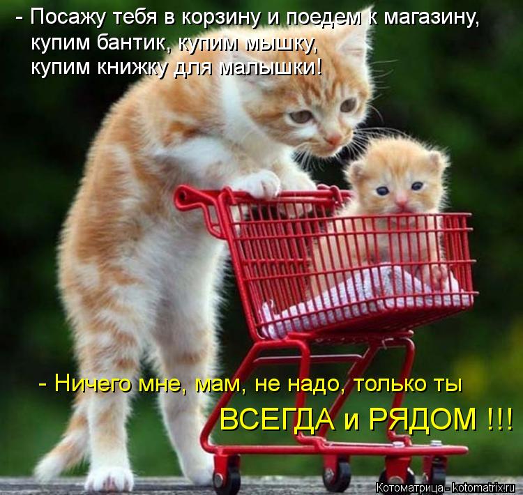 Котоматрица: - Ничего мне, мам, не надо, только ты ВСЕГДА и РЯДОМ !!! - Посажу тебя в корзину и поедем к магазину, купим бантик, купим мышку,  купим книжку для 