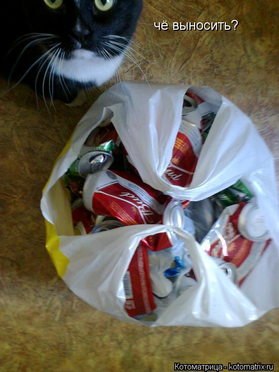 чё выносить?... Котоматрица: чё выносить?