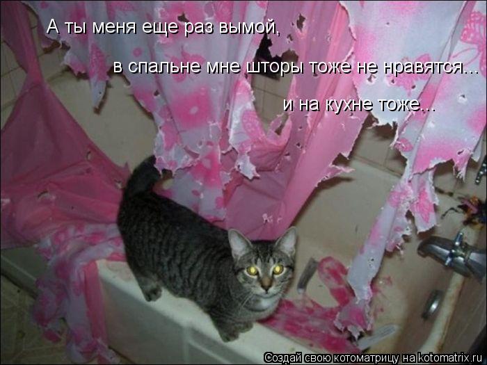 Котоматрица: А ты меня еще раз вымой, в спальне мне шторы тоже не нравятся... и на кухне тоже...