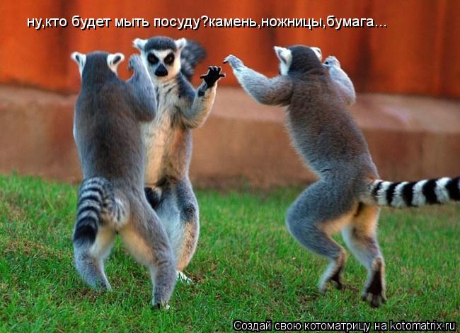Котоматрица: ну,кто будет мыть посуду?камень,ножницы,бумага...
