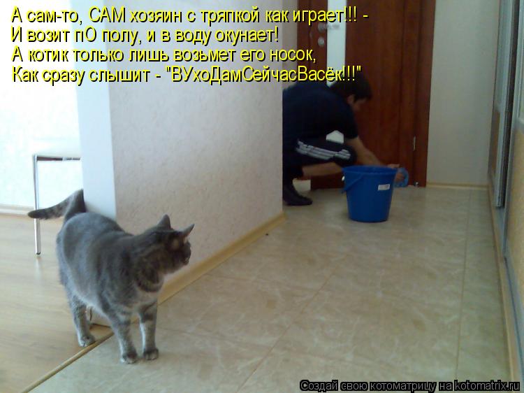 Котоматрица: А сам-то, САМ хозяин с тряпкой как играет!!! - И возит пО полу, и в воду окунает! А котик только лишь возьмет его носок, Как сразу слышит - "ВУхоДа