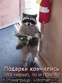 Котоматрица: Подарки кончились Что нарыл, то и припёр Что нарыл, то и припёр Подарки кончились
