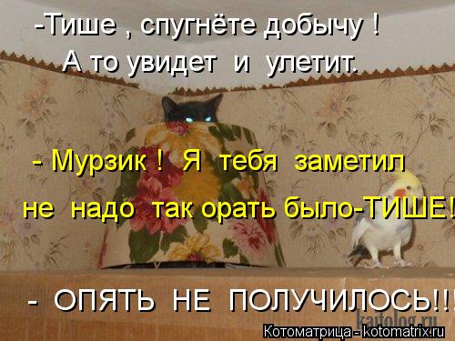 Котоматрица: -Тише , спугнёте добычу ! А то увидет  и  улетит. - Мурзик !  Я  тебя  заметил не  надо  так орать было-ТИШЕ! -  ОПЯТЬ  НЕ  ПОЛУЧИЛОСЬ!!!