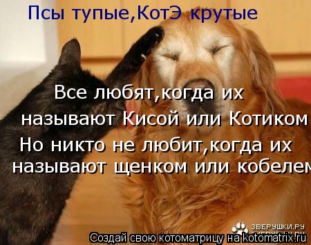 Котоматрица: Псы тупые,КотЭ крутые Все любят,когда их называют Кисой или Котиком Но никто не любит,когда их называют щенком или кобелем