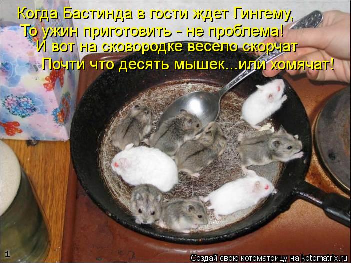 Котоматрица: Когда Бастинда в гости ждет Гингему, То ужин приготовить - не проблема! И вот на сковородке весело скорчат Почти что десять мышек...или хомяч