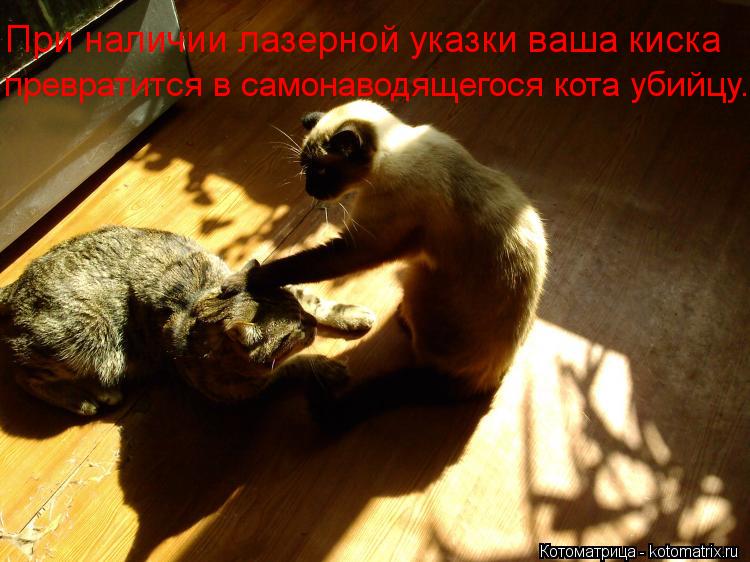Котоматрица: При наличии лазерной указки ваша киска  превратится в самонаводящегося кота убийцу.