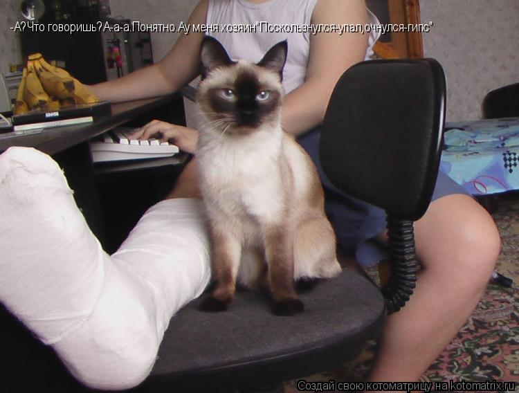 -А?Что говоришь?А-а-а.Понятно.Ау меня хозяин"Поскользнулся-упал,очнулся-гипс"... Котоматрица: -А?Что говоришь?А-а-а.Понятно.Ау меня хозяин"Поскользнулся-упал,очнулся-гипс"