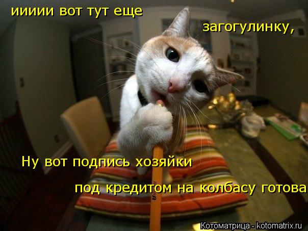 Котоматрица: иииии вот тут еще  загогулинку, Ну вот подпись хозяйки под кредитом на колбасу готова