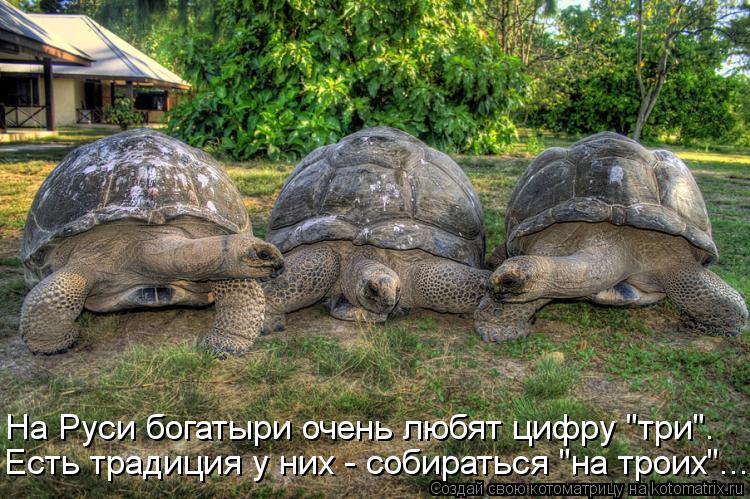 Котоматрица: На Руси богатыри очень любят цифру "три". Есть традиция у них - собираться "на троих"...