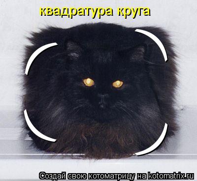 ) ) ( ( квадратура круга... Котоматрица: ) ) ( ( квадратура круга