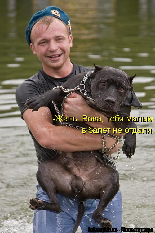 Котоматрица: -Жаль, Вова, тебя малым  в балет не отдали.