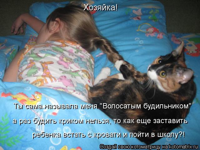 Хозяйка! Ты сама называла меня "Волосатым будильником" а раз будить криком нельзя, то как еще застави... Котоматрица: Хозяйка! Ты сама называла меня "Волосатым будильником" а раз будить криком нельзя, то как еще заставить ребенка встать с кровати и пойти в ш