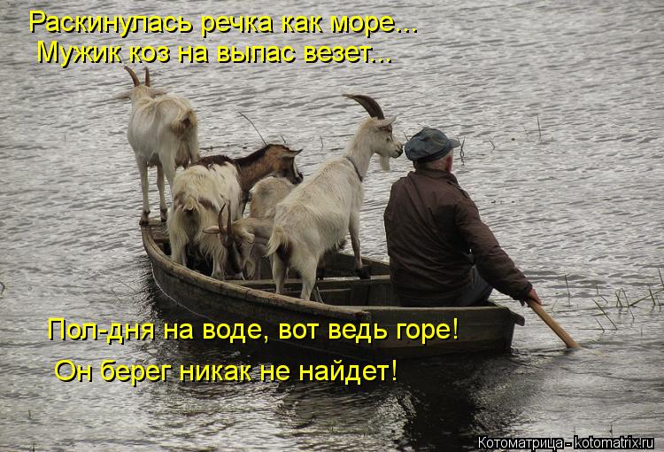 Котоматрица: Раскинулась речка как море... Мужик коз на выпас везет... Пол-дня на воде, вот ведь горе! Он берег никак не найдет!