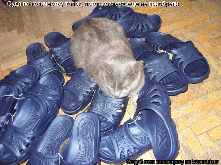 Котоматрица: Судя по количеству тапок, лоток хозяева еще не приобрели...