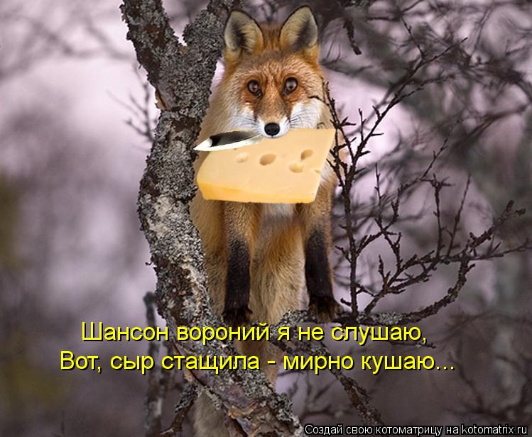 Котоматрица: Шансон вороний я не слушаю, Вот, сыр стащила - мирно кушаю...