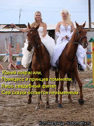 Котоматрица: Коней покрасили, Принцесс и принцев поменяли, Лишь свадебный финал Сей сказки остается неизменным