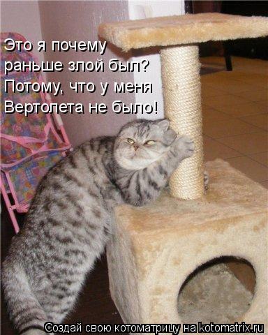 Котоматрица: раньше злой был? Потому, что у меня Вертолета не было! Это я почему