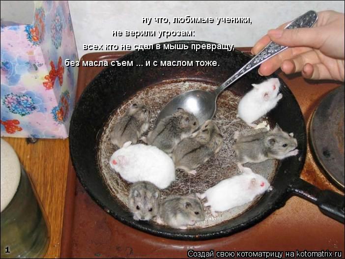 ну что, любимые ученики, не верили угрозам: всех кто не сдал в мышь превращу, без масла съем ... и с ... Котоматрица: ну что, любимые ученики, не верили угрозам: всех кто не сдал в мышь превращу, без масла съем ... и с маслом тоже.