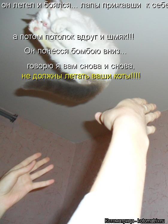 а потом потолок вдруг и шмяк!!! Он понёсся бомбою вниз... говорю я вам снова и снова, он летел и боял... Котоматрица: а потом потолок вдруг и шмяк!!! Он понёсся бомбою вниз... говорю я вам снова и снова, он летел и боялся... лапы прижавши к себе не должны летать