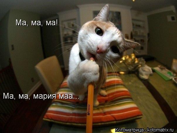 Котоматрица: Ма, ма, ма! Ма, ма, мария маа...