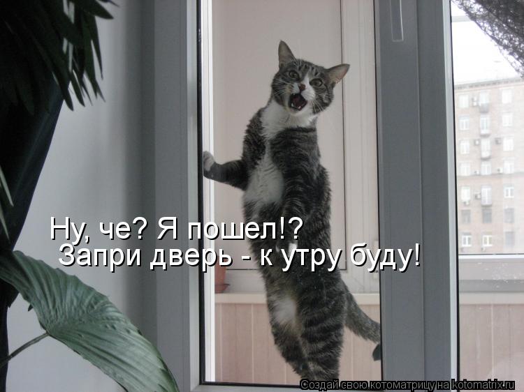 Котоматрица: Ну, че? Я пошел!? Запри дверь - к утру буду!