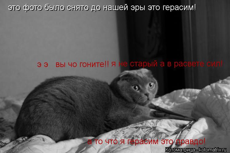 это фото было снято до нашей эры это герасим! э э вы чо гоните!! я не старый а в расвете сил! а то ... Котоматрица: это фото было снято до нашей эры это герасим! э э вы чо гоните!! я не старый а в расвете сил! а то что я герасим это правдо!
