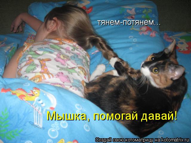 тянем-потянем... Мышка, помогай давай!... Котоматрица: тянем-потянем... Мышка, помогай давай!