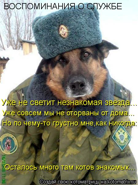 ВОСПОМИНАНИЯ О СЛУЖБЕ Уже не светит незнакомая звезда... Уже совсем мы не оторваны от дома... Но по ч... Котоматрица: ВОСПОМИНАНИЯ О СЛУЖБЕ Уже не светит незнакомая звезда... Уже совсем мы не оторваны от дома... Но по чему-то грустно мне,как никогда: Осталось м