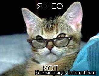 Котоматрица: Я НЕО КОТ