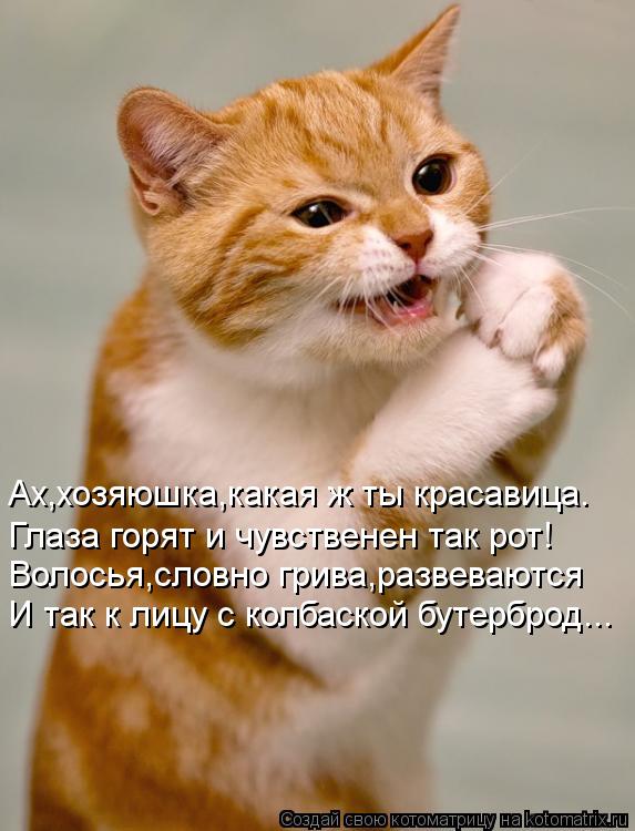 Ах,хозяюшка,какая ж ты красавица. Глаза горят и чувственен так рот! Волосья,словно грива,развеваются ... Котоматрица: Ах,хозяюшка,какая ж ты красавица. Глаза горят и чувственен так рот! Волосья,словно грива,развеваются И так к лицу с колбаской бутерброд...