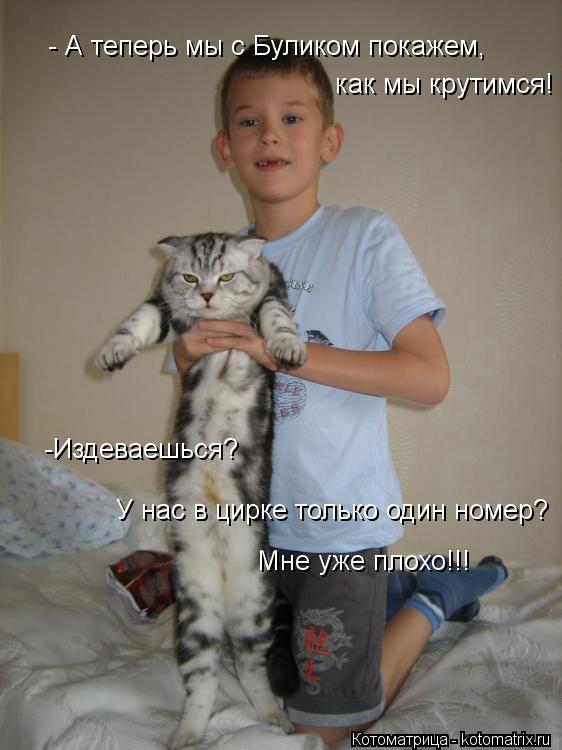 Котоматрица: как мы крутимся! -Издеваешься? - А теперь мы с Буликом покажем,  У нас в цирке только один номер? Мне уже плохо!!!
