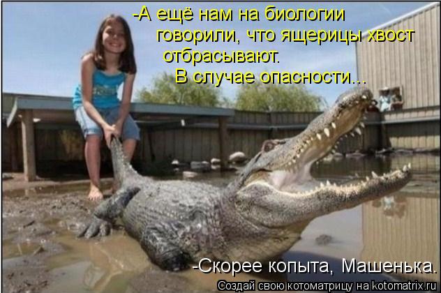 Котоматрица: -А ещё нам на биологии говорили, что ящерицы хвост отбрасывают.  В случае опасности... -Скорее копыта, Машенька.